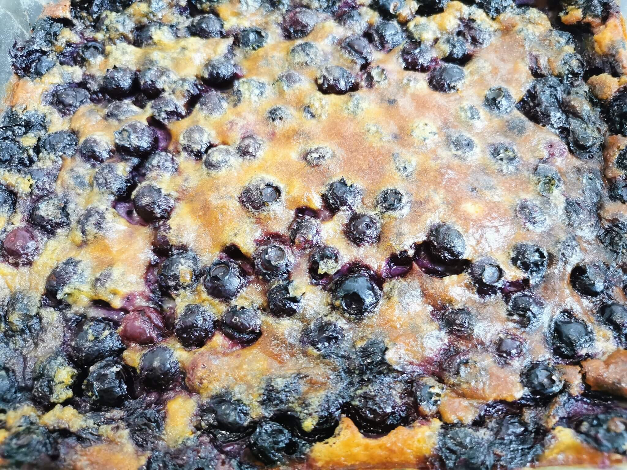 clafouti clafoutis Myrtille bleuet