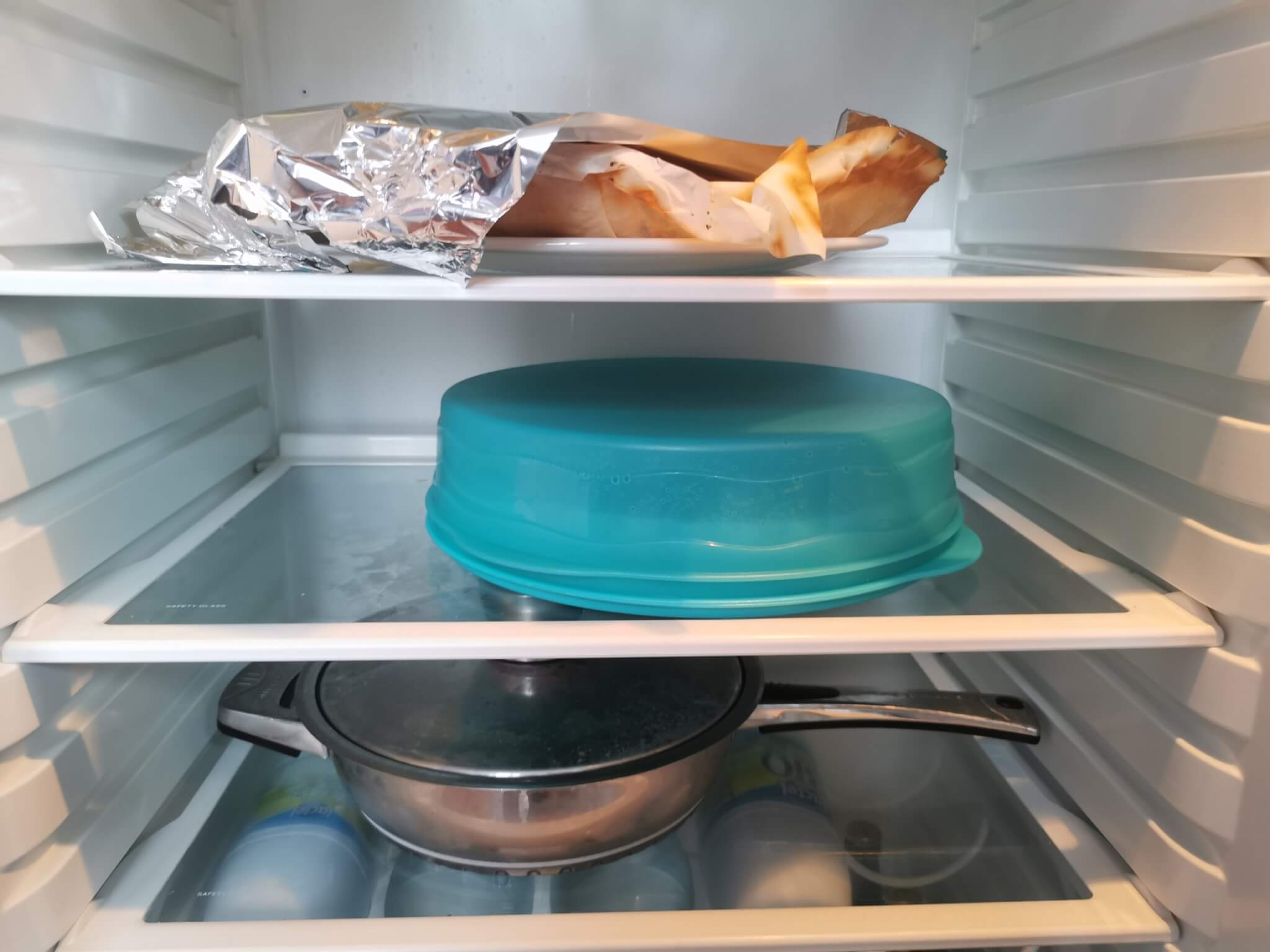 restes de plats dans frigo